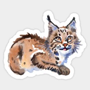 Bobcat Kitten Sticker